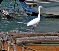 /album/galerie-photos-insolites/dscn1209-jpg/