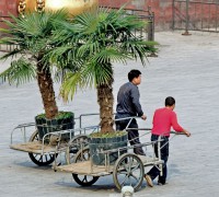 /album/galerie-photos-insolites/dscn7292-2-jpg/