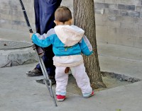 /album/galerie-photos-insolites/dscn7556-2-jpg/