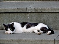 /album/galerie-photos-insolites/dscn7998-jpg/