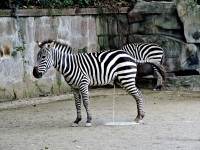 /album/galerie-photos-insolites/dscn9729-jpg/