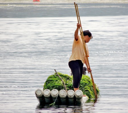Des baguettes, c'est pas juste bon pour manger....