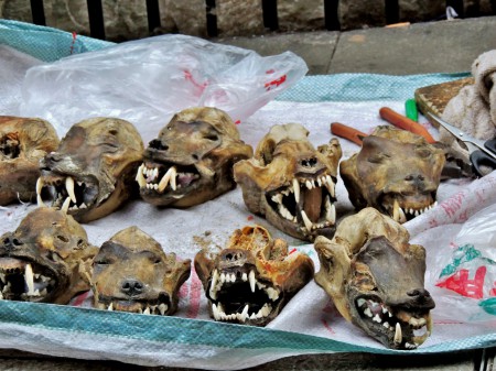 Au fait.... des dents de quoi ?